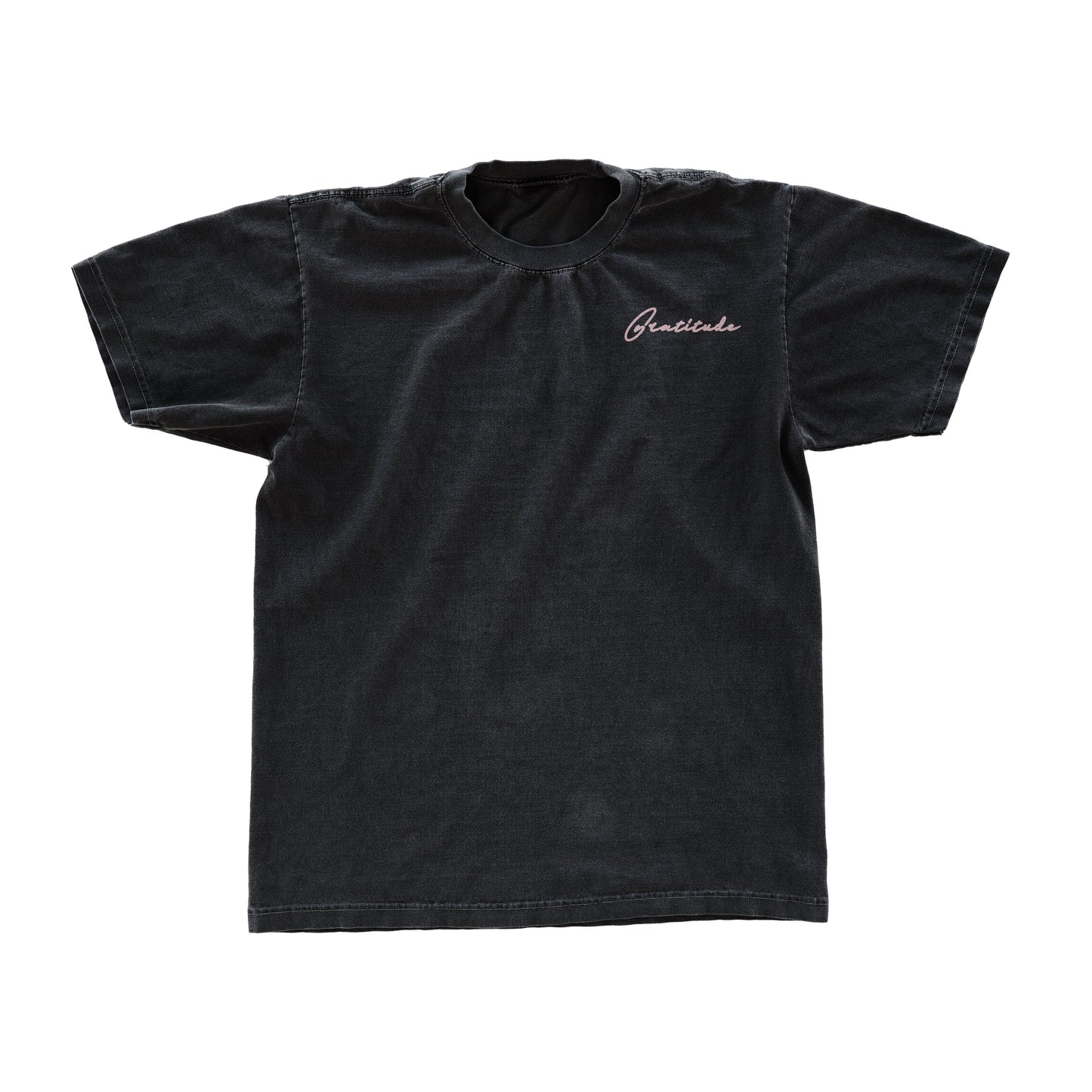 Gratitude Lion Tee Style001