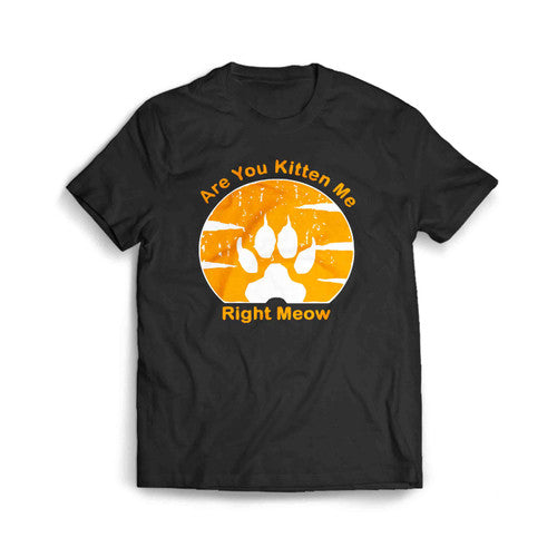 Are-You-Kitten-Me-Right-Meow-Vintage Men's T-Shirt