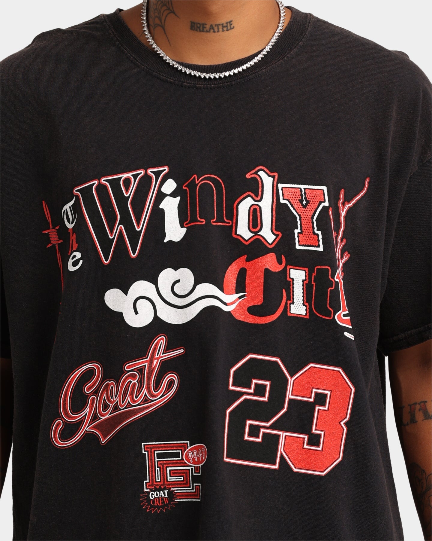 Goat Crew Windy City Vintage T-Shirt Black Wash
