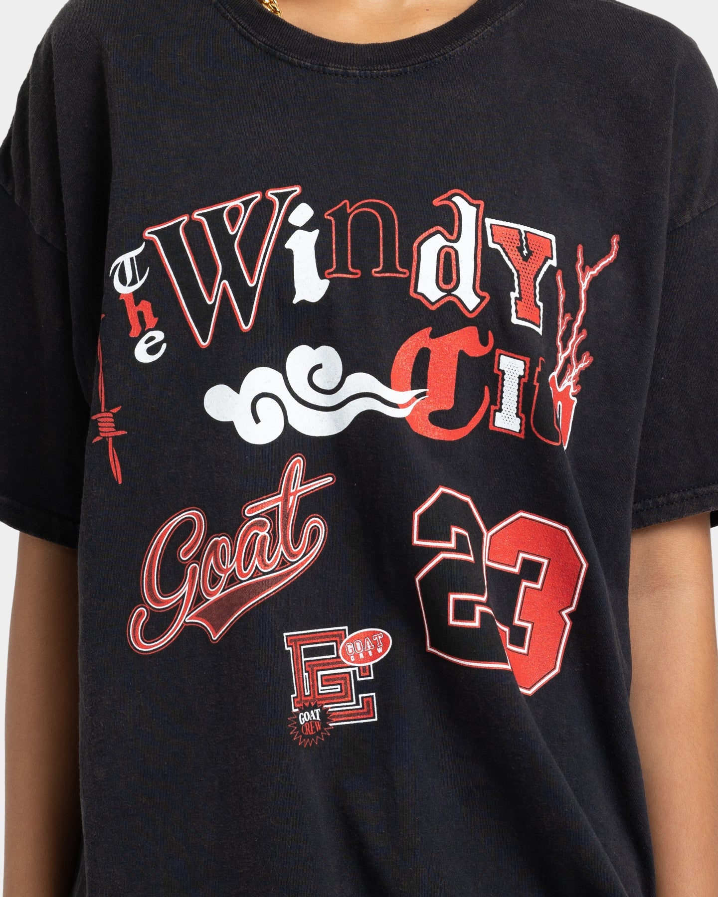 Goat Crew Windy City Vintage T-Shirt Black Wash Style001