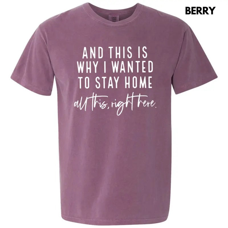 All This Right Here Comfort Colors T-Shirt Hoodie, Sweatshirt | HypeCrazeTee.com
