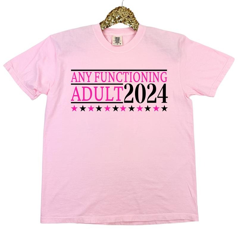 Any Functioning Adult Comfort Colors T-Shirt 'NLB' Hoodie, Sweatshirt | HypeCrazeTee.com