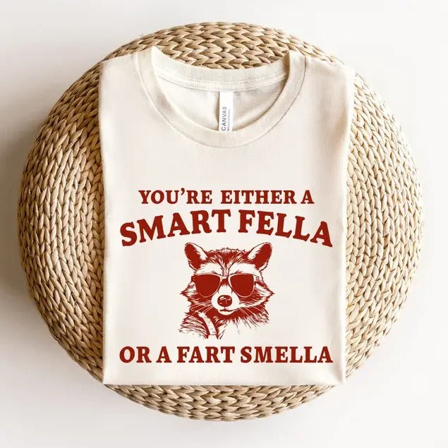 Are You A Smart Fella Or Fart Smella Retro Cartoon T Shirt, Weird T Shirt, Meme T Shirt, Trash Panda T Shirt, Unisex...