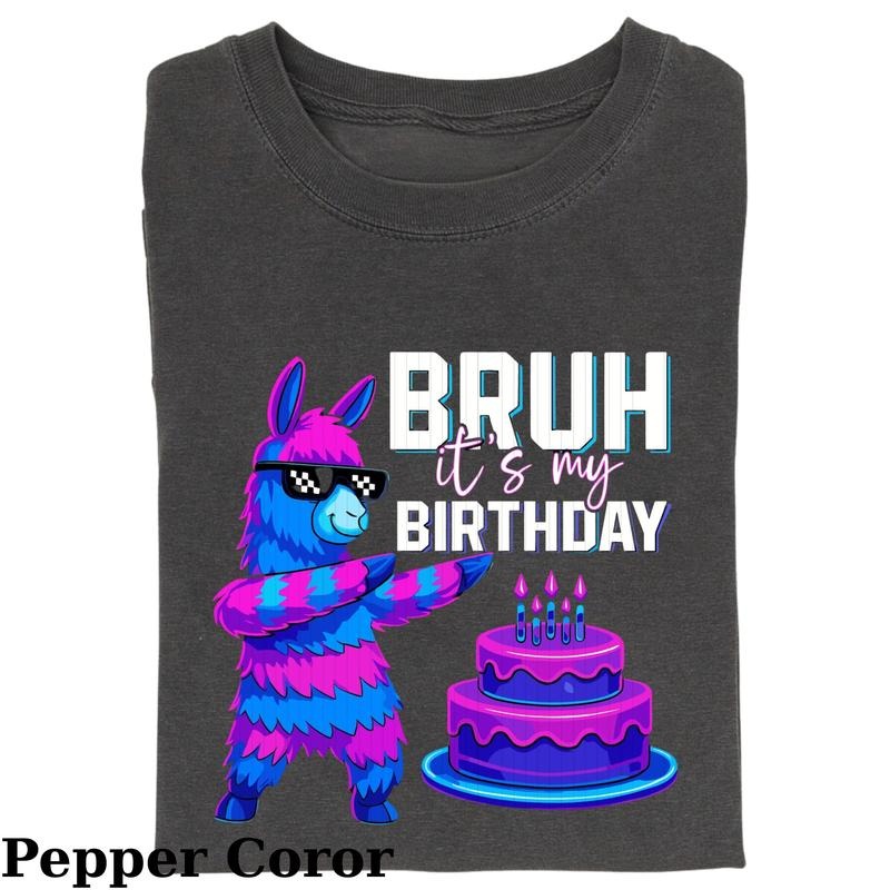 Bruh Its My Birthday T-shirt, Llama Pinata Boy Girl Family Party Bday T-shirt, Boy Birthday Shirt T-shirt, Funny Llama...