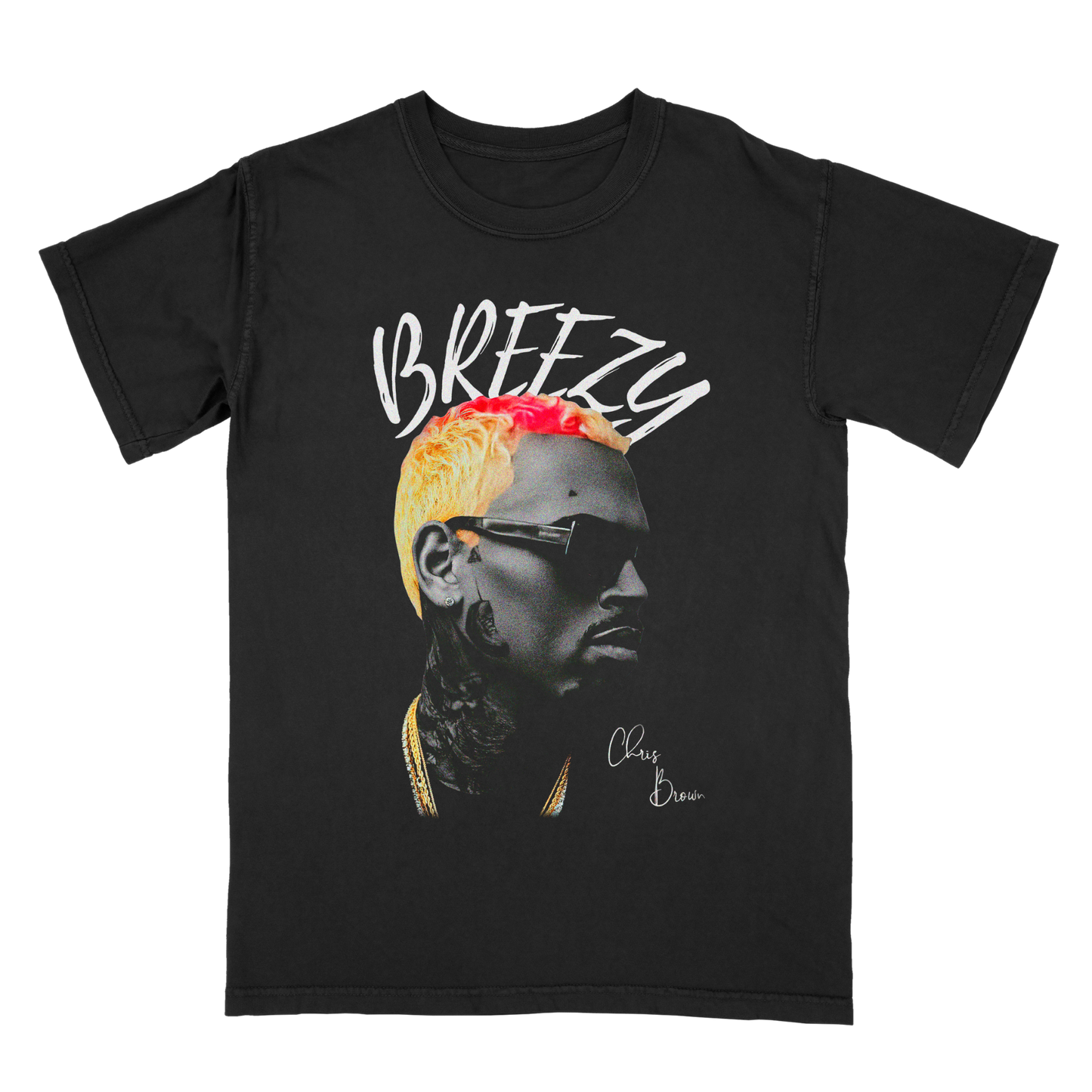 Chris Brown Vintage Streetwear Graphic Tee – Retro Concert Merch T-Shirt, Unisex Fan Gift