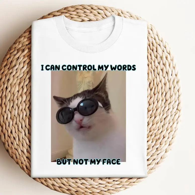 Cat Meme Graphic Shirt, Funny Cat Shirt, I Can Control My Words But Not My Face Shirt Hoodie, Sweatshirt | HypeCrazeTee.com