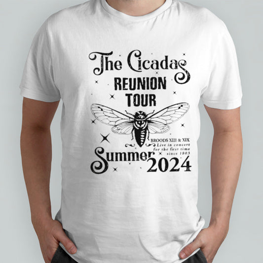 Cicada Concert Tour 2024 Bella Canvas Shirt