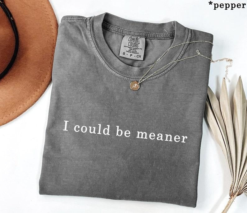 Comfort ColorsI Could Be Meaner T-Shirt, Soft Cotton Crewneck Shirt for Men and Women, Gift for Him or Her, Unisex...