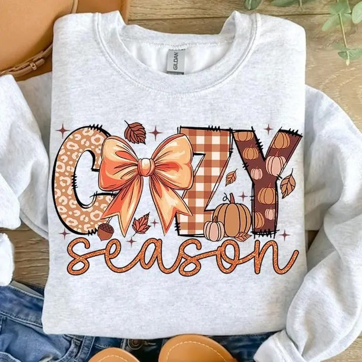 Coquette Cozy Season Sweatshirt, Thankful Fall Shirt, Autumn Gift, 100% Cotton - Fabric Hoodie | HypeCrazeTee.com