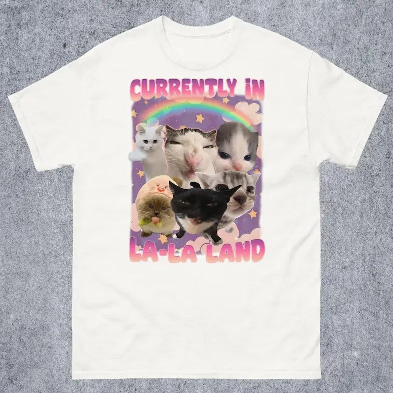 Currently in La-La Land Funny Cat Meme Tee Shirt, Cringe T-shirt, Ugly Shirts Hoodie, Sweatshirt | HypeCrazeTee.com