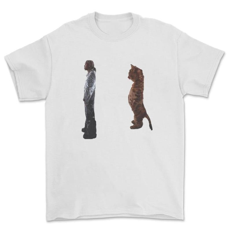 Destroy Lonely Standing Cat Funny T-Shirt Hoodie, Sweatshirt | HypeCrazeTee.com