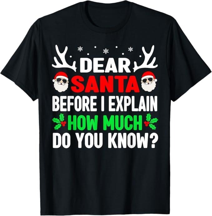 Funny Christmas Shirt, Christmas Gift, Funny Christmas Dear Santa I Can Explain T-Shirt