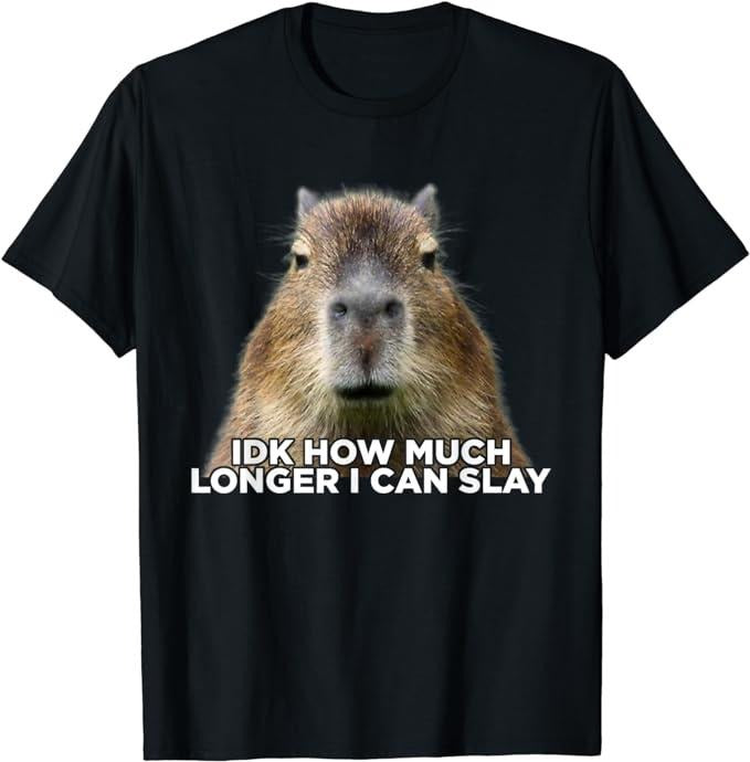 Funny Cute Capybara Shirts Idk How Much Longer I Can Slay Capybara Sarcastic Meme Menswear Top Casual Classic T-Shirts, Hoodie, Sweatshirt