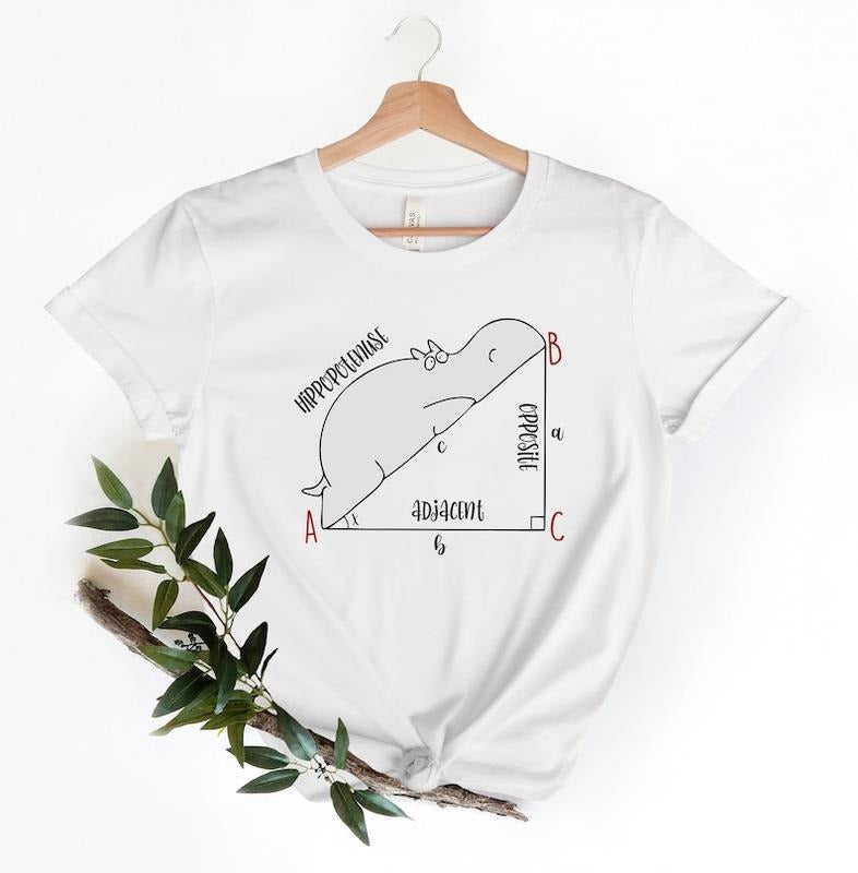 Funny Math Funny Hippopotenuse Shirt Math Teachers Shirt Teacher Shirt Geometry Teacher Geometry Nerd Teacher T-Shirts, Hoodie, Sweatshirt