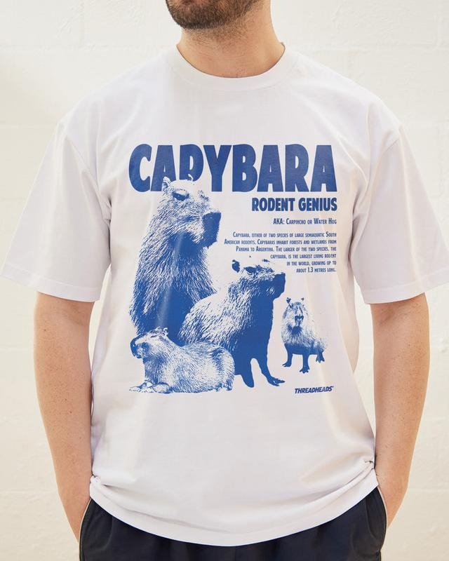 Funny Meme Shirt, CAPYBARA RODENT Tee, Gift Unisex T-Shirt Hoodie, Sweatshirt | HypeCrazeTee.com