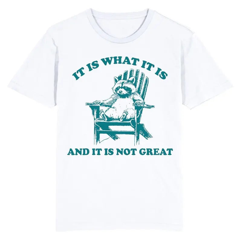 Funny Meme Shirt, Raccoon Is What It Is And It Is Not Great  Tee, Gift Unisex T-Shirt Hoodie, Sweatshirt | HypeCrazeTee.com