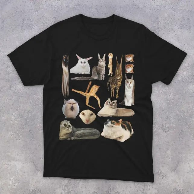 Funny Meme Shirt, Squished Cats Tee, Cat Lover Gift Unisex T-Shirt Hoodie, Sweatshirt | HypeCrazeTee.com