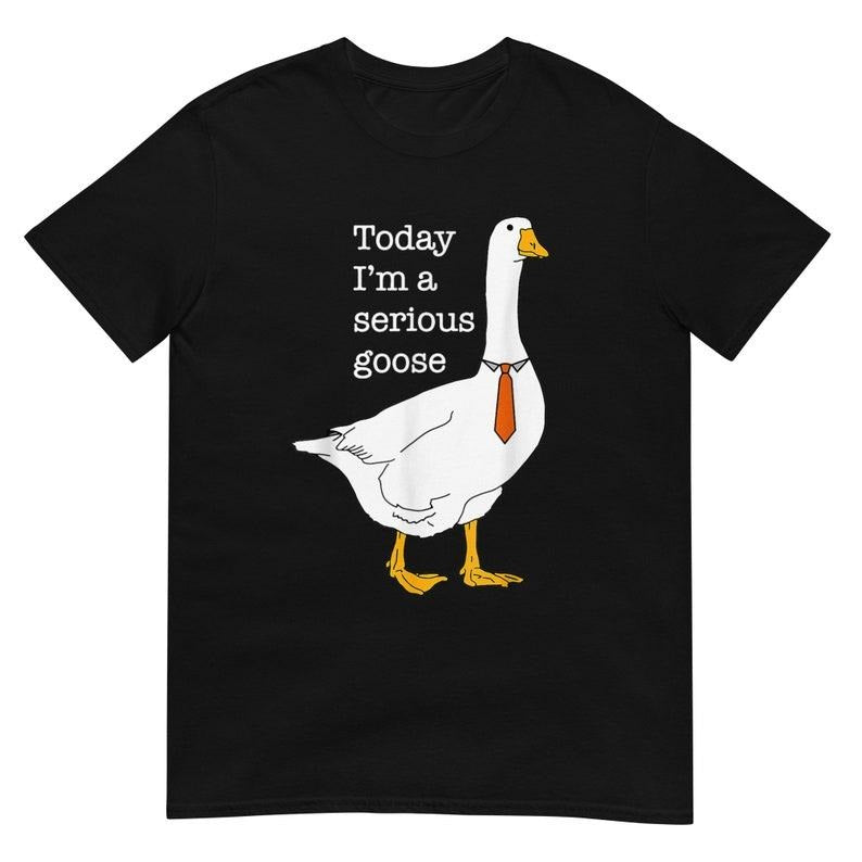 Funny Meme Shirt, Today I'm A Serious Goose Tee, Gift Unisex T-Shirt Hoodie, Sweatshirt | HypeCrazeTee.com