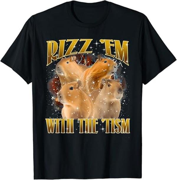 Funny Meme Shirts For Men, Funny Rizz Em With The Tism Meme Capybara T-Shirt Menswear Top Hoodie, Sweatshirt
