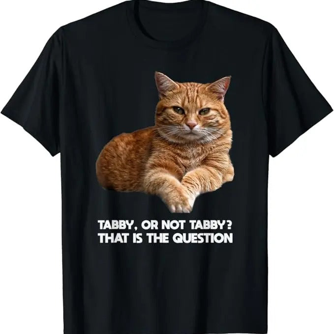 Funny Meme Shirts For Men, Orange Tabby Cat Funny Meme Gift T-Shirt Menswear Top Hoodie, Sweatshirt | HypeCrazeTee.com