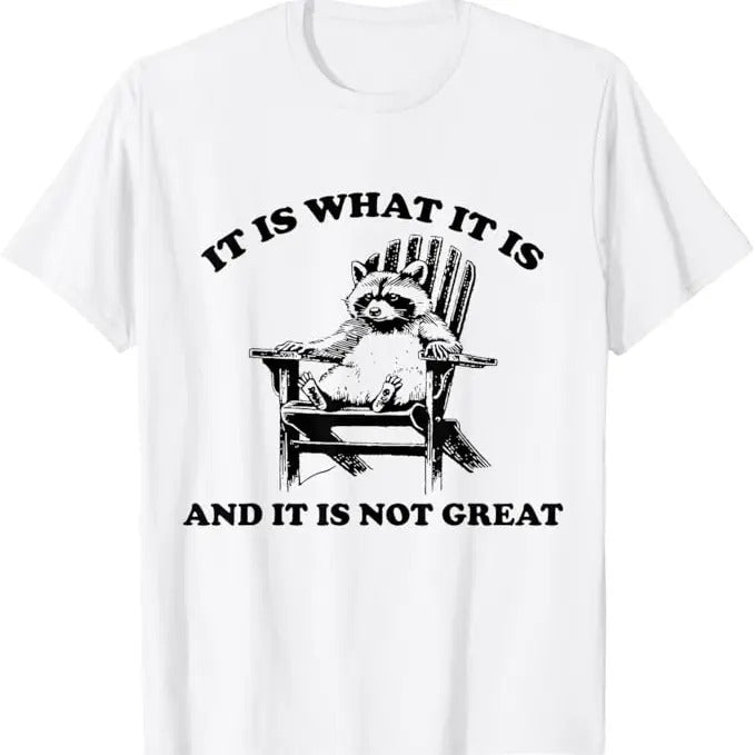Funny Raccoon Shirt, It Is What It Is And It Is Not Great Raccoon Funny T-Shirt For Men