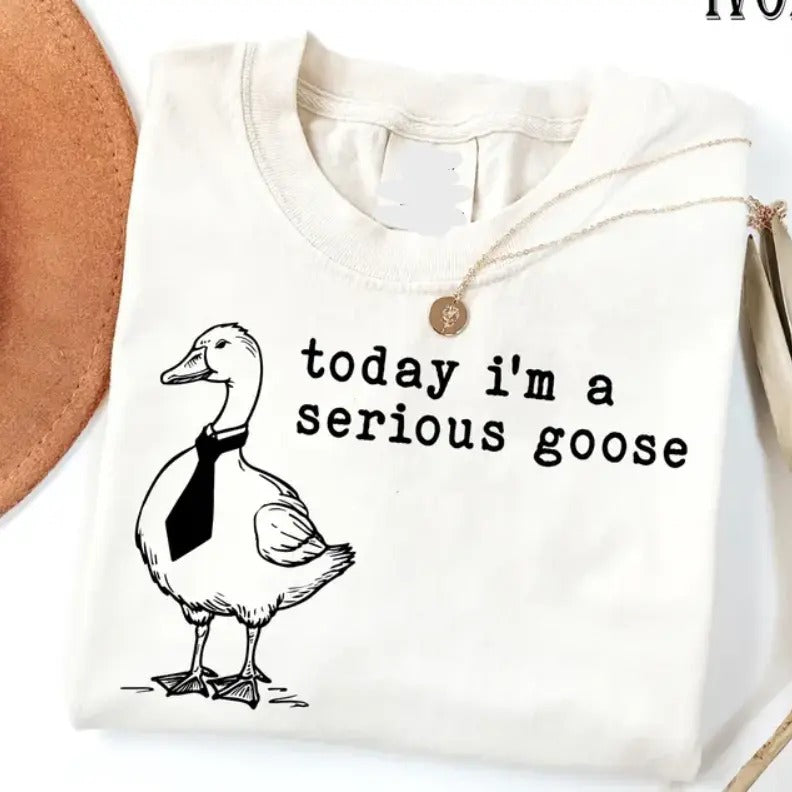 Funny Shirt, Today I'm a Serious Goose Tshirt, Funny Silly Shirt, Funny Goose Shirt Hoodie, Sweatshirt | HypeCrazeTee.com
