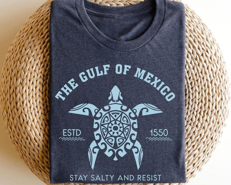 Gulf of Mexico Stay Salty Resistance Shirt, Resist Shir, Democrat Shirt, Democrat Gift Shirt Hoodie, Sweatshirt