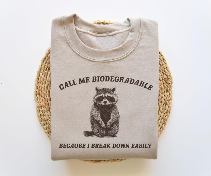 I Break Down Easily, Funny Sweatshirt, Funny Crewneck, Raccoon Meme Sweatshirt, Cartoon Meme  T-shirt, sweater and Hoodie