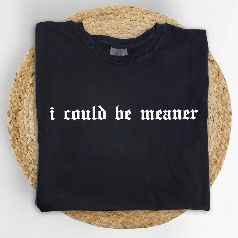 I Could Be Meaner Comfort Colors Shirt, Vintage Funny Humor T-shirt, Sarcastic Graphic Tee, Funny Women Clothing, Sarcasm...