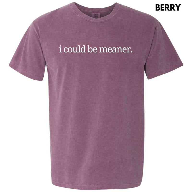 I Could Be Meaner Comfort Colors T-Shirt 'NLB' Hoodie, Sweatshirt | HypeCrazeTee.com