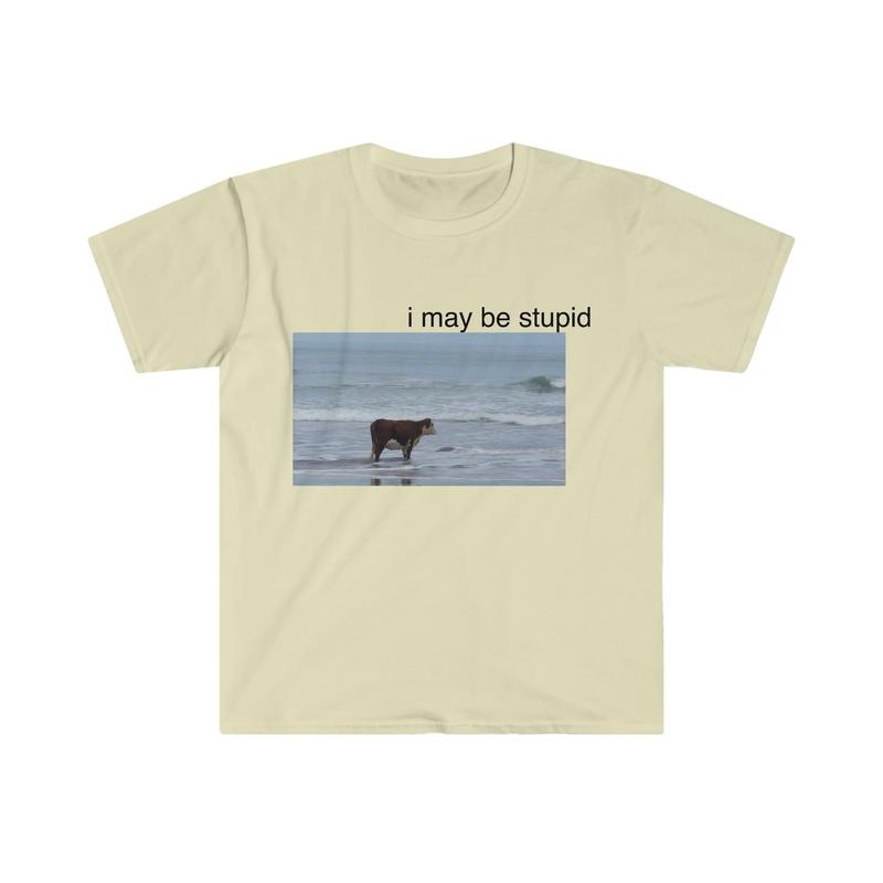 I May Be Stupid Cow on Beach Funny Meme  T-shirt, sweater and Hoodie Sweatshirt | HypeCrazeTee.com