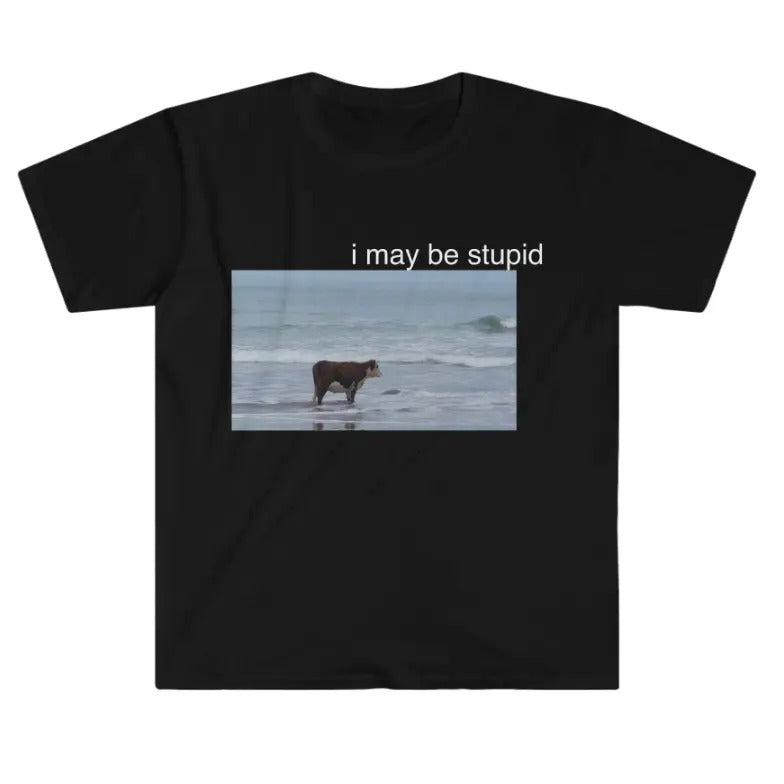I May Be Stupid Cow on Beach Funny Meme TShirt Hoodie, Sweatshirt | HypeCrazeTee.com