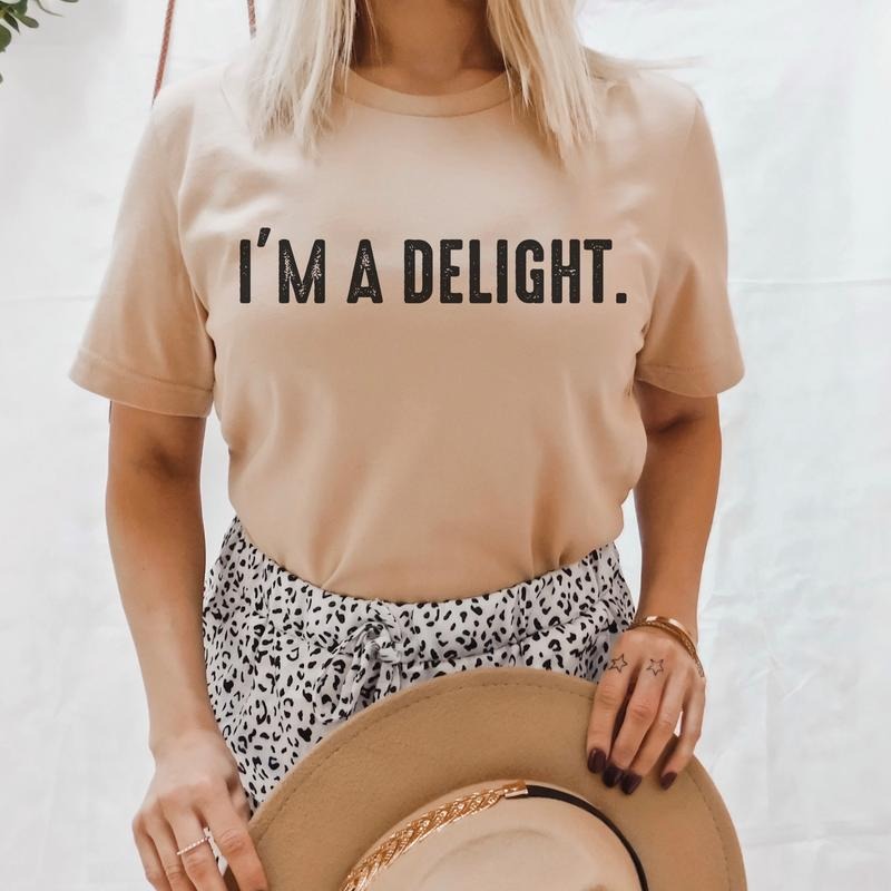 I'm a delight Shirt sarcastic t-shirt funny tee sarcasm awkward top comfy soft shirt casual shirt casual t-shirt  gift...