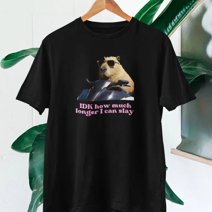 IDK How much longer I can slay T-shir, Funny Capybara Slay T-shirt Hoodie, Sweatshirt | HypeCrazeTee.com