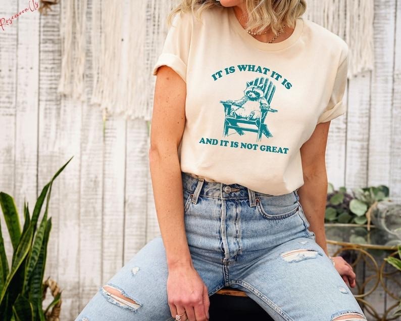 It Is What It Is And It Is Not Great Shirt, Raccoon Meme Shirt, Funny Shirt, Mental Health Shirt, Animal Gift  T-shirt,...