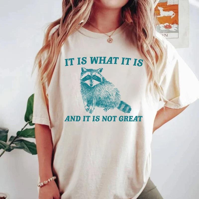 It Is What It Is And It Is Not Great Shirt, Vintage Shirt, Raccoon Meme Shirt, Funny Trash Panda Shirt, Unisex Tee...