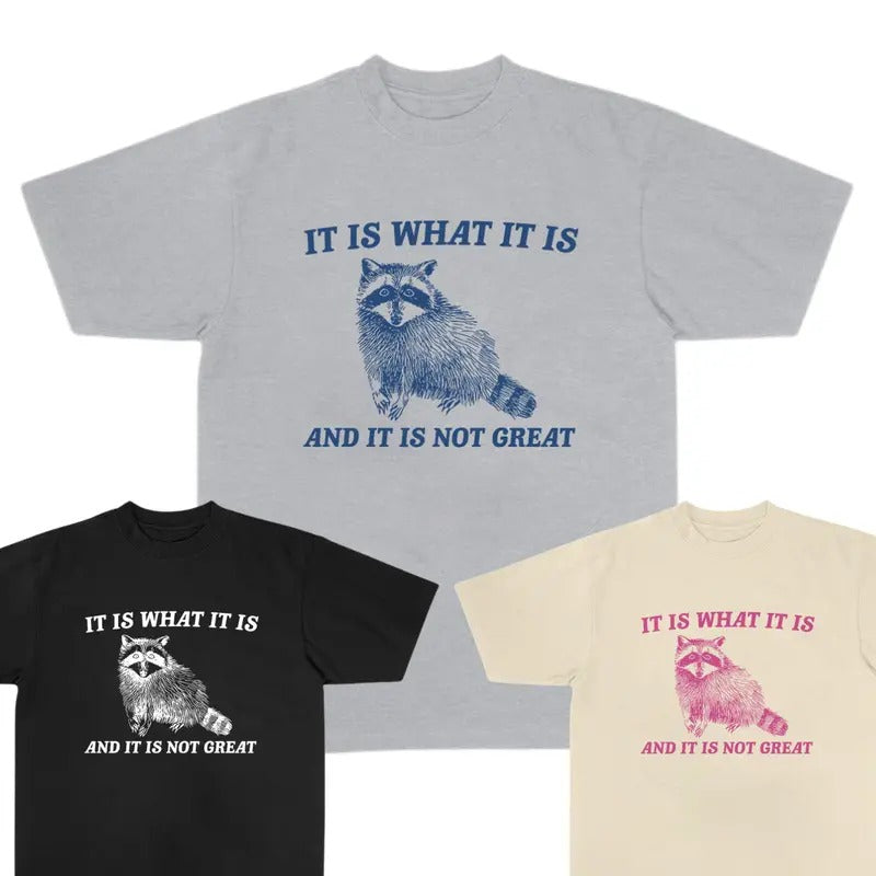 It Is What It Is And It Is Not Great T-Shirt, Vintage Raccoon T-Shirt, Full Color, For Her, For Him Hoodie, Sweatshirt