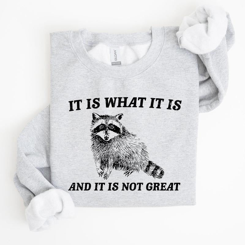 It Is What It Is And It Is Not Great, Raccoon, Funny, Aesthetic Sweatshirt T-Shirts, Hoodie | HypeCrazeTee.com
