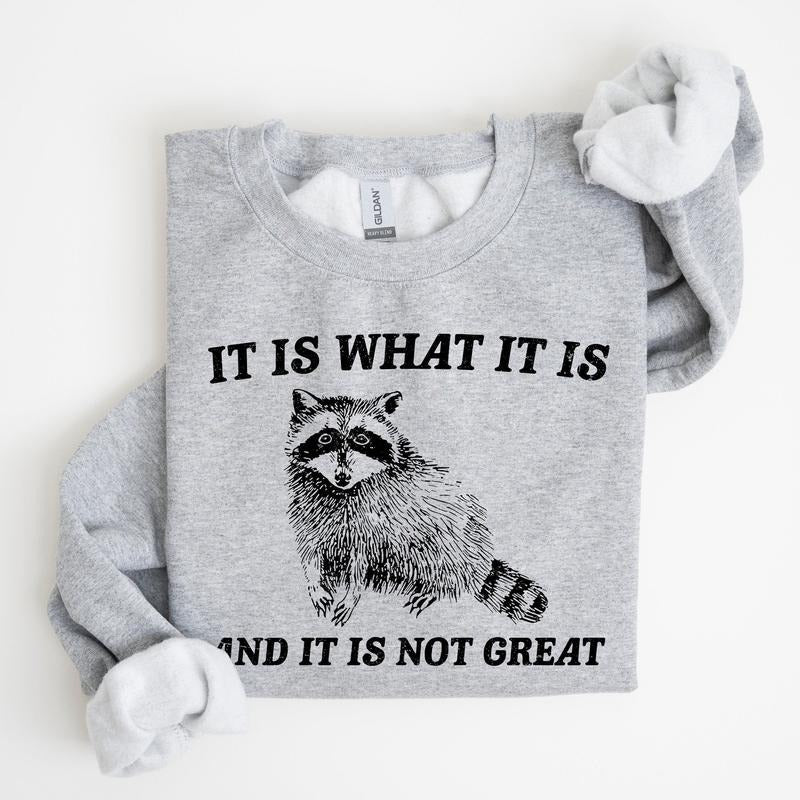It Is What It Is And It Is Not Great, Raccoon, Trash Panda, Funny, Meme, Sweatshirt T-Shirts, Hoodie | HypeCrazeTee.com
