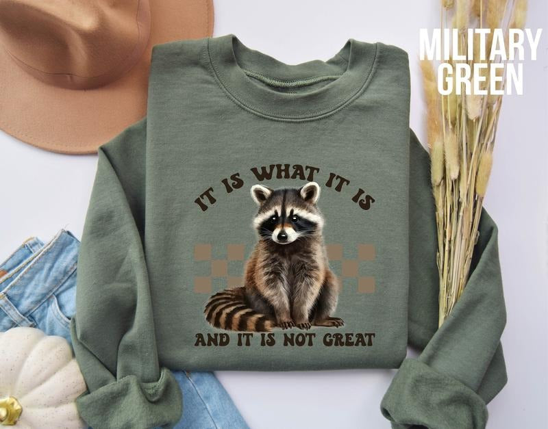 It Is What It Is and It Is not Great Sweatshirt, Racoon Meme Sweatshirt, Funny Racoon Sweater, Funny Trash Panda ...