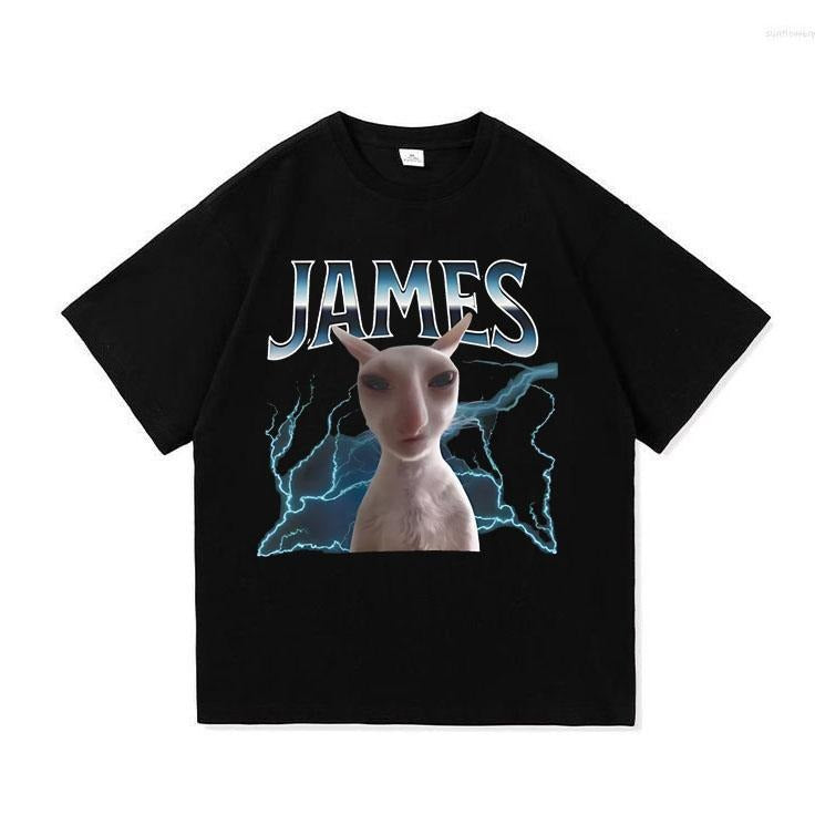 James Funny Cat Meme Unisex T-Shirt - Unisex Graphic Tee S-3XL Hoodie, Sweatshirt | HypeCrazeTee.com