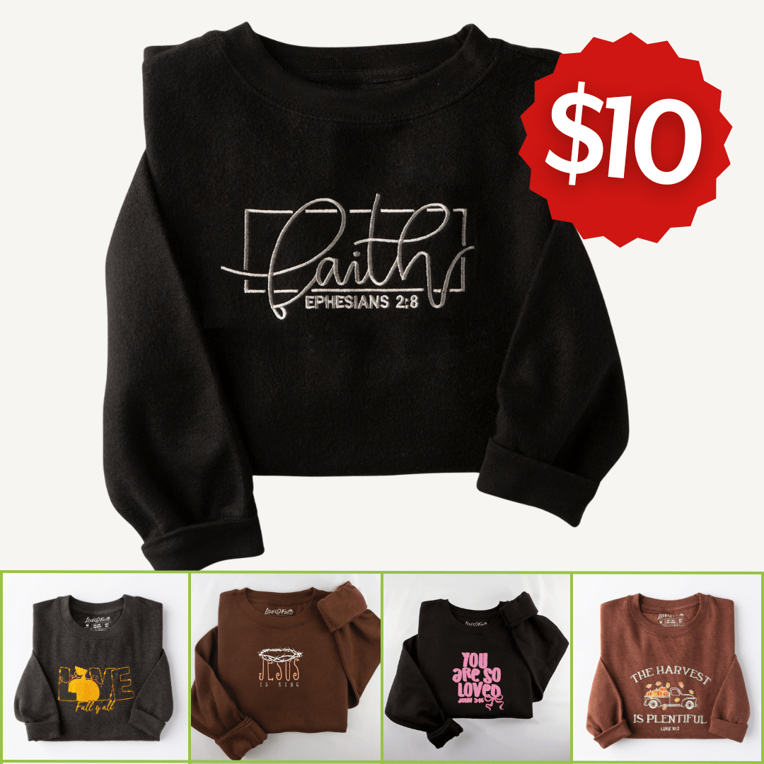 $10 Embroidered Crewneck Sweatshirt