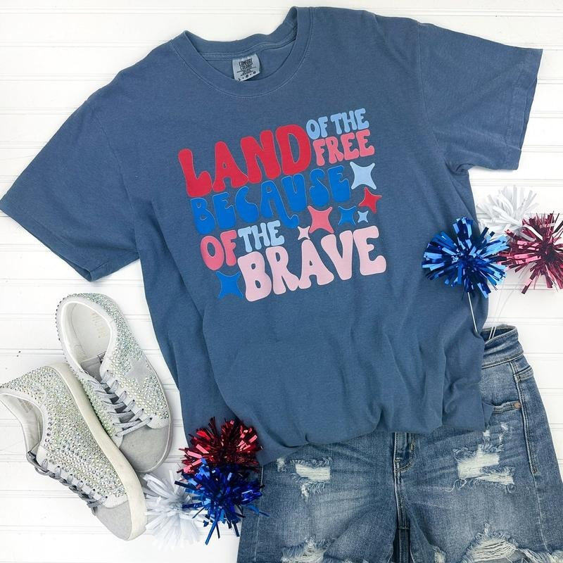 Land Of The Free Comfort Colors T-Shirt Hoodie, Sweatshirt | HypeCrazeTee.com