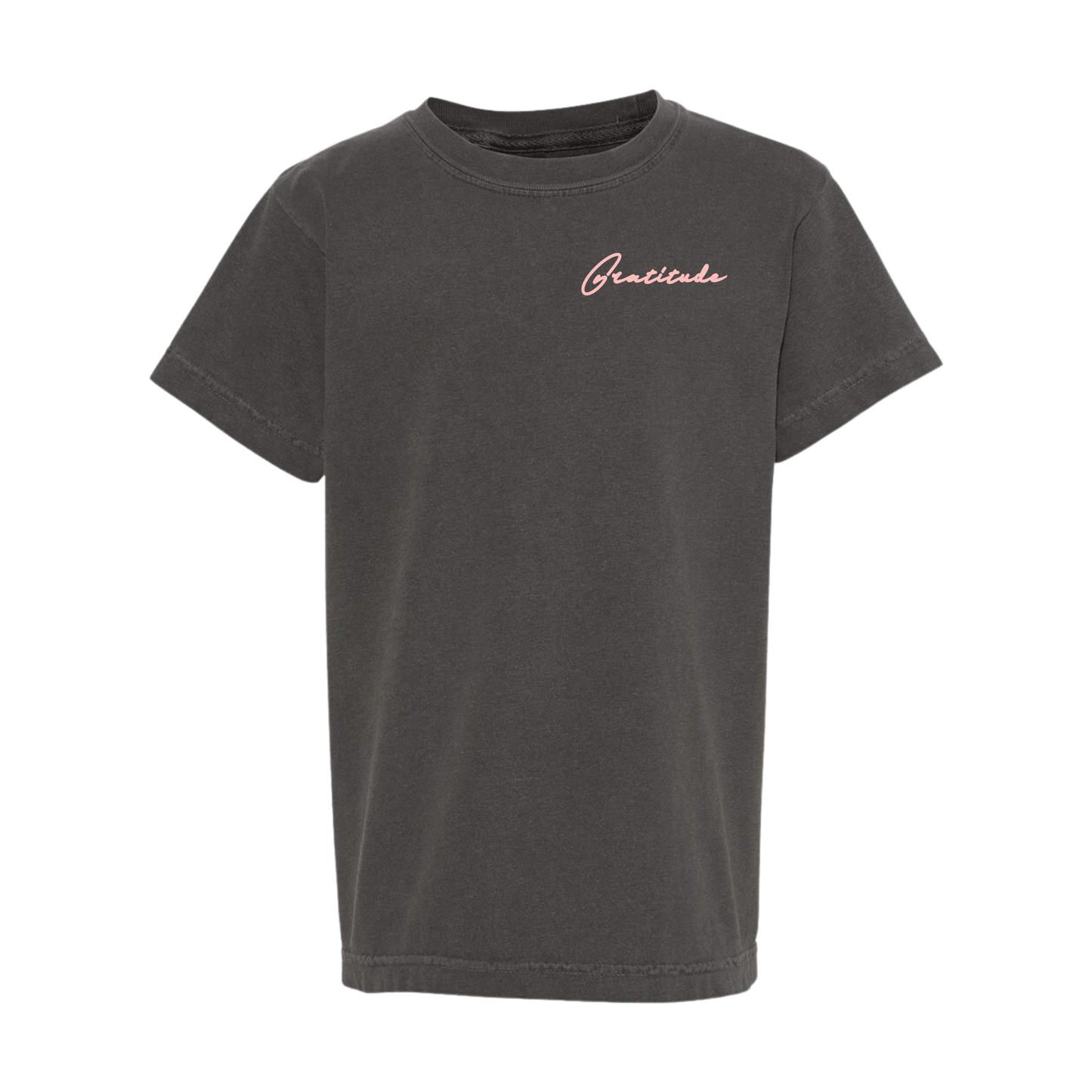 Gratitude Lion Tee (Kids) Style001