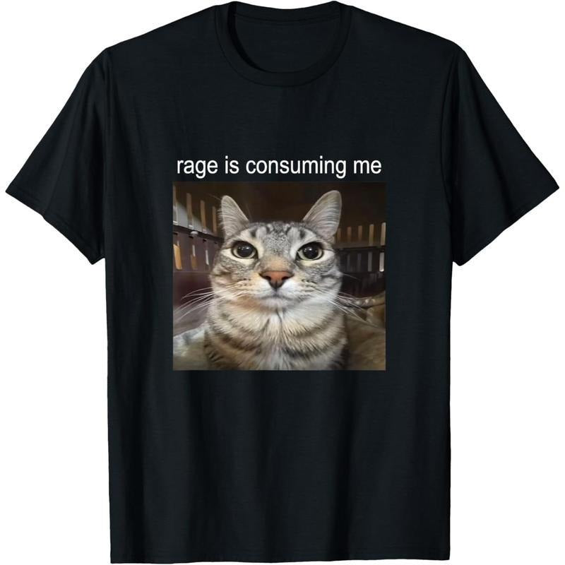 Men's Rage Is Consuming Me Silly Staring Cat Meme T-Shirt Hoodie, Sweatshirt | HypeCrazeTee.com