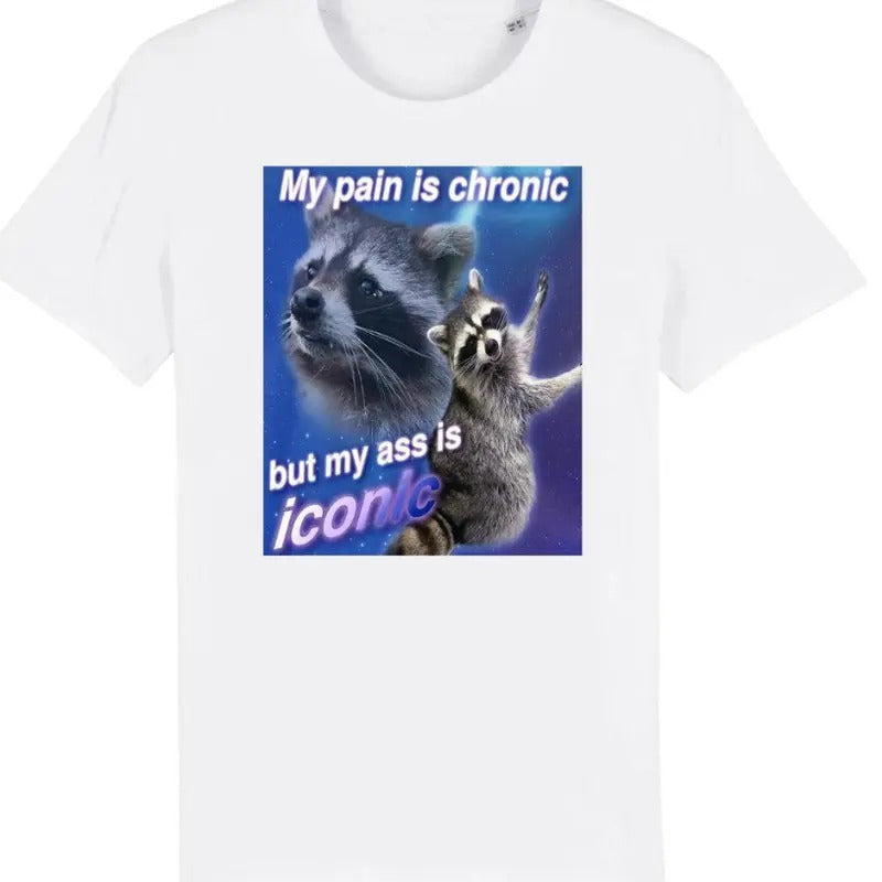 My Pain Is Chronic But My Ass Is Iconic Funny Raccoon Meme T-Shirt Hoodie, Sweatshirt | HypeCrazeTee.com