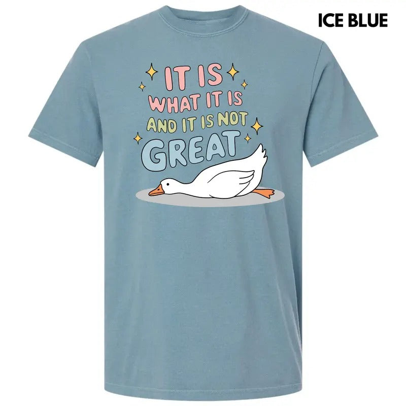 Not Great Goose Comfort Colors T-Shirt 'NLB' Hoodie, Sweatshirt | HypeCrazeTee.com