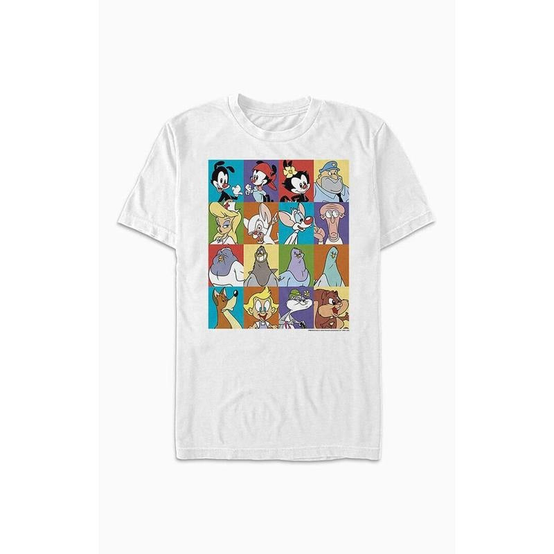 PacSun Women's Animaniacs Character Boxes T-Shirt Hoodie, Sweatshirt | HypeCrazeTee.com