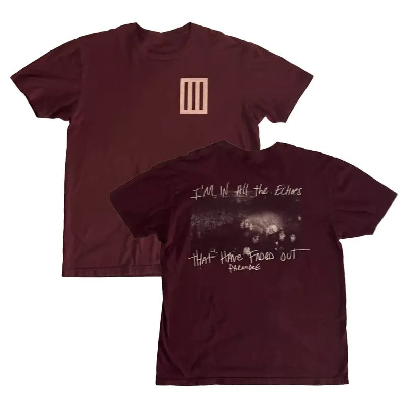 Paramore I'm In All The Echoes That Have Faded Out Unisex Fans Shirt Hoodie, Sweatshirt | HypeCrazeTee.com
