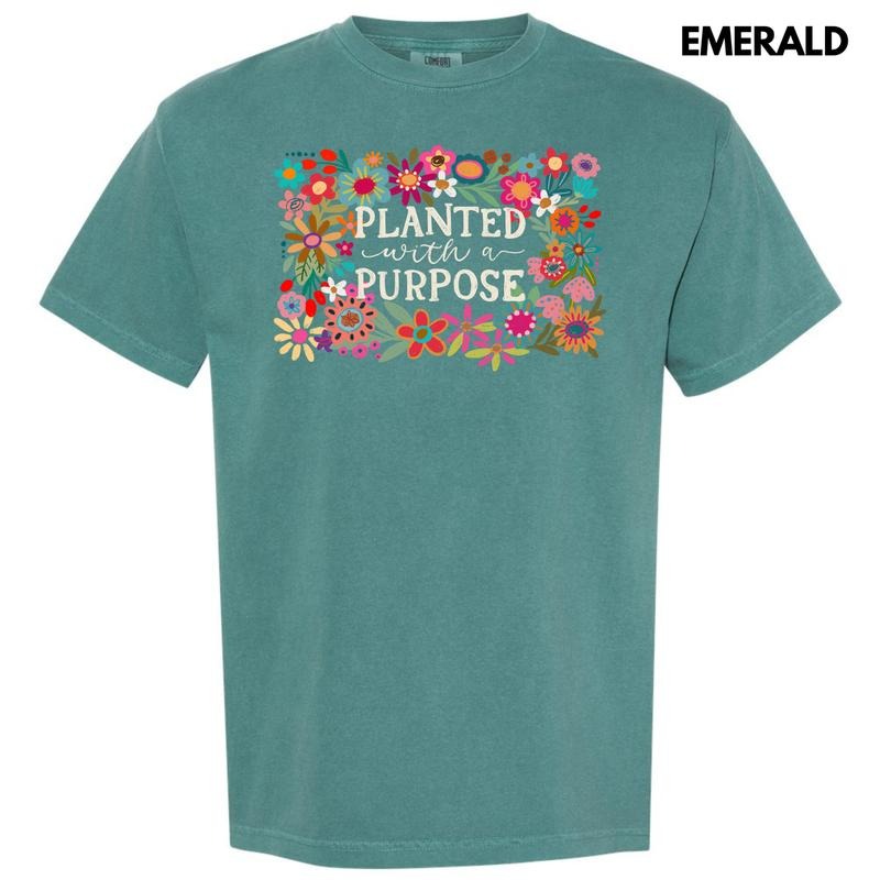 Planted With Purpose Comfort Colors T-Shirt 'NLB' Hoodie, Sweatshirt | HypeCrazeTee.com
